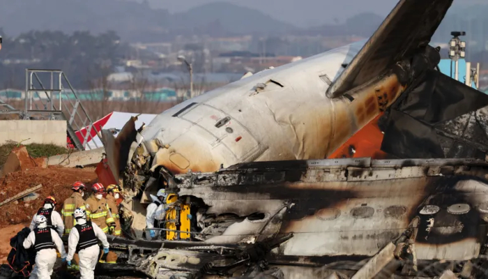 Bird strike cause South Korea plane crash? Heres experts verdict