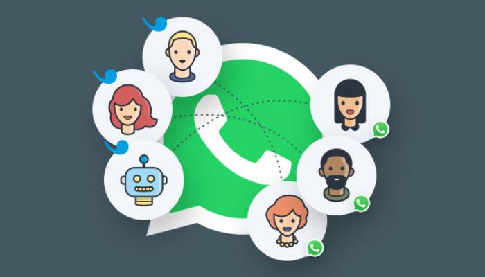 WhatsApps new feature lets users access real-time human support