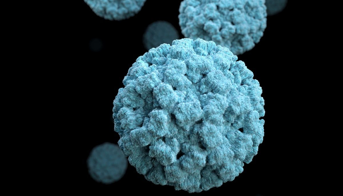 Centers for Disease Control and Prevention warned about surging norovirus cases in the US