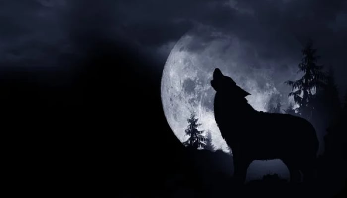 First full moon of every New Year is referred to as the Wolf Moon in numerous cultures