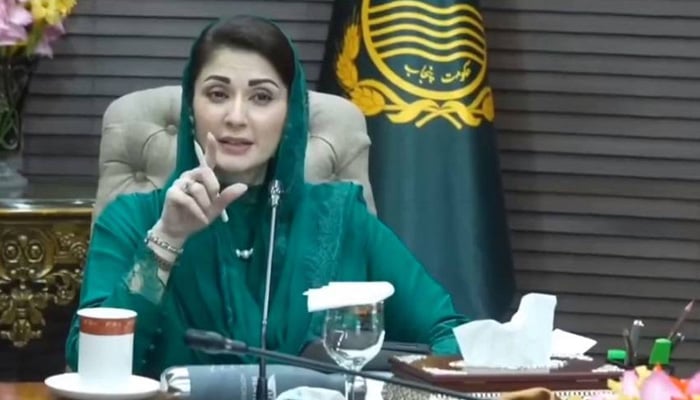 وزیرِ اعلیٰ پنجاب مریم نواز— فائل فوٹو