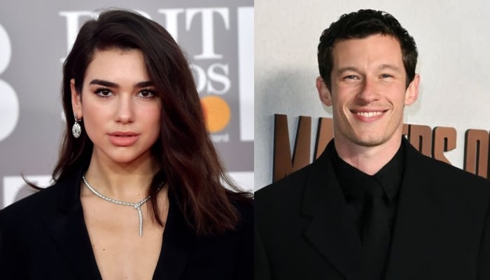 Dua Lipa spends last days of 2024 with fiancé Callum Turner