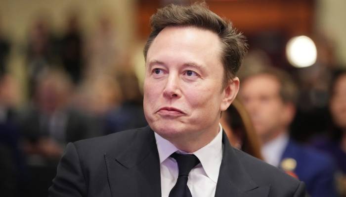 Elon Musk to interview AfD leader on X ahead of German election