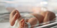 2025ء میں پیدا ہونے والے بچے کونسی ’جنریشن‘ کہلائیں گے؟