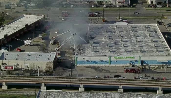 Tragic fire in Dallas shopping center claims lives of 579 animals