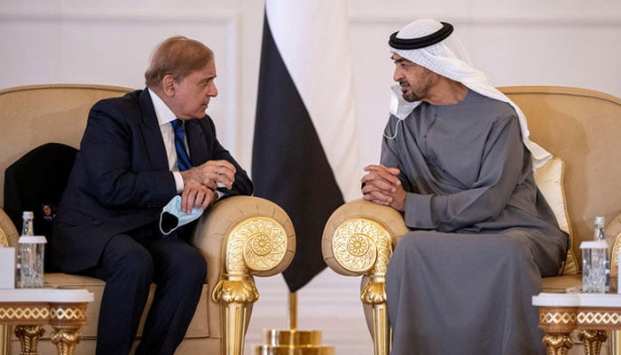 UAE President Sheikh Mohamed meets Pakistani PM Shahbaz Sharif to boost ties