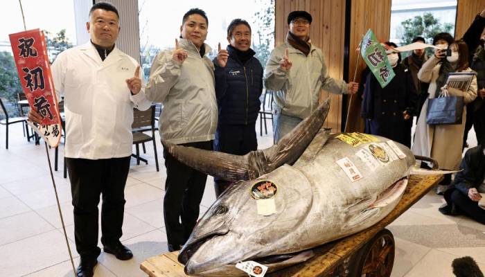 Motorbike-sized tuna sells for shocking price at Tokyo auction