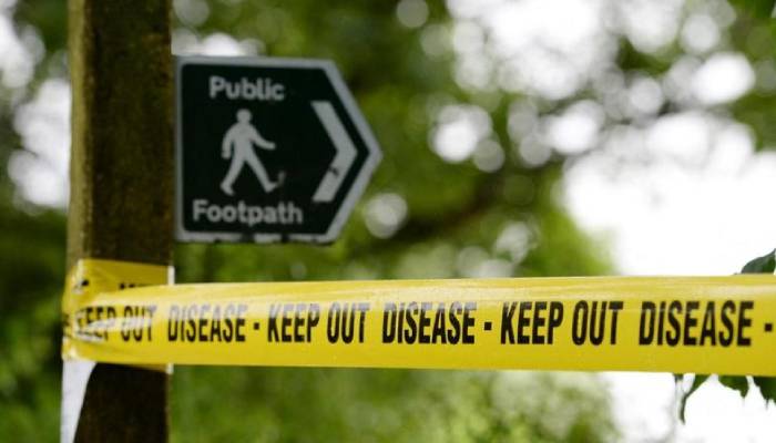 Scotland takes immediate action following bird flu outbreak in Angus