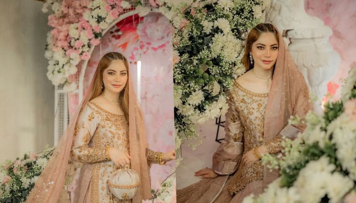 Neelam Muneer shares new pictures after grand wedding celebrations