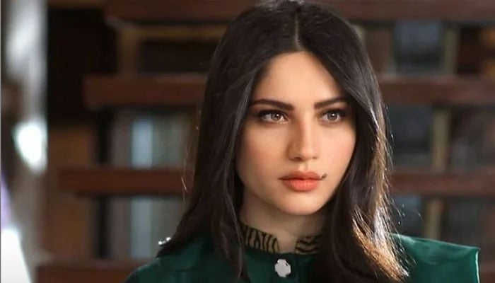 Inside Neelam Muneer Khans exciting love story