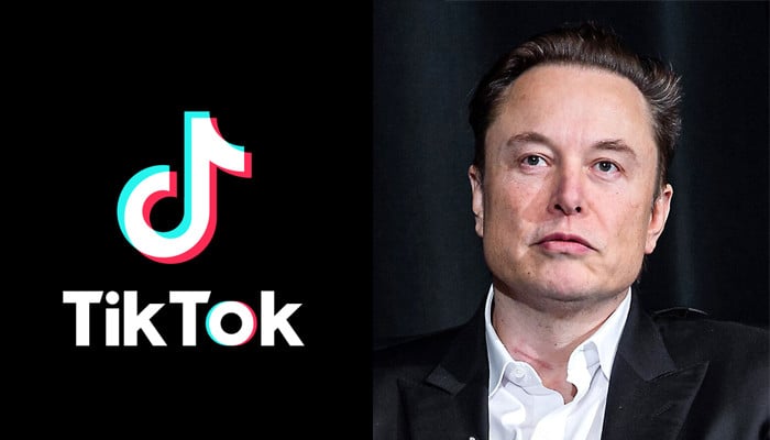 TikTok brushes off rumours of selling the app to billionaire Elon Musk