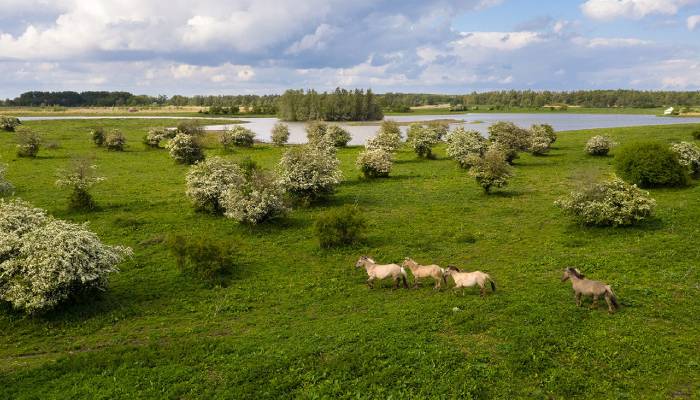 Discover largest man made national park filled with nature and wildlife