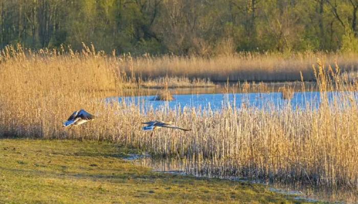 Discover largest man made national park filled with nature and wildlife