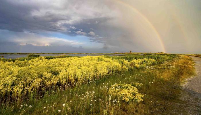 Discover largest man made national park filled with nature and wildlife