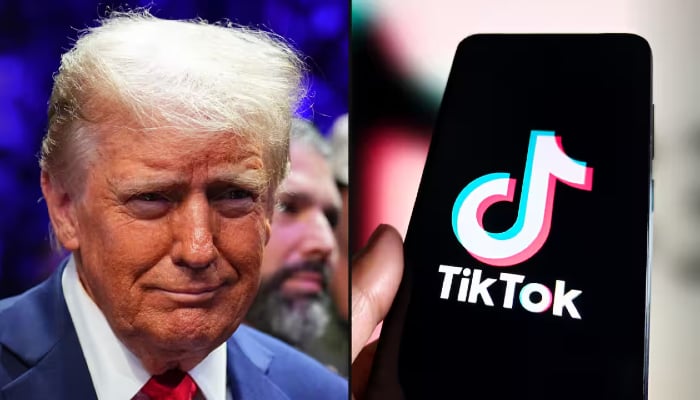 Donald Trump set to grant TikTok ‘big’ relief after inauguration