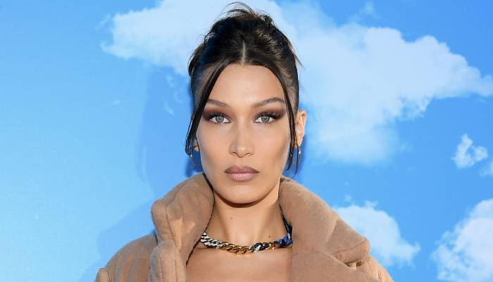 Bella Hadid sends prayers to Palestine, California victims amid tragedies