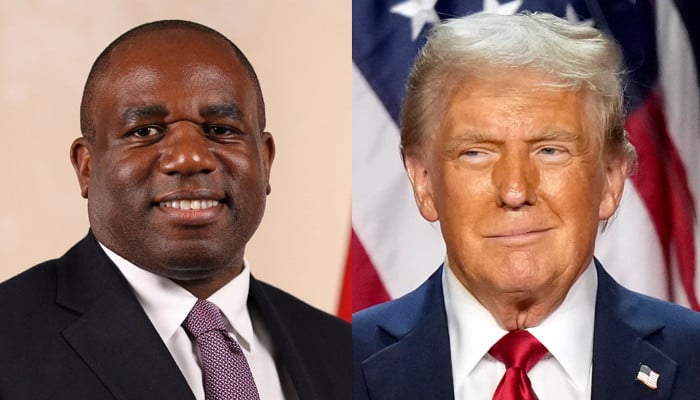 David Lammy claims the world is glad on Donald Trump’s return to the White House