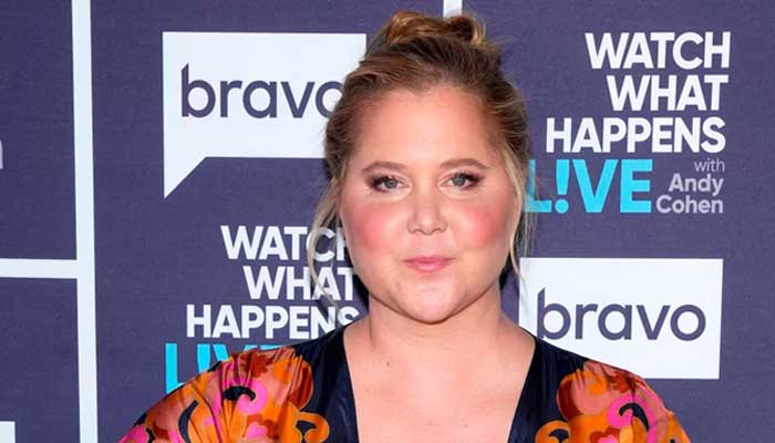 Amy Schumer gives shout out to internet trolls for unexpected help