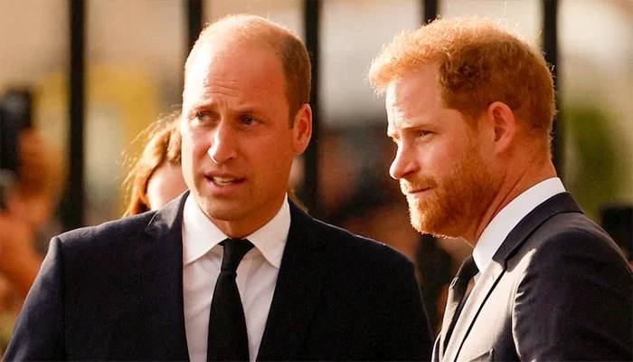 Prince William breaks silence after Prince Harrys legal win in first outing