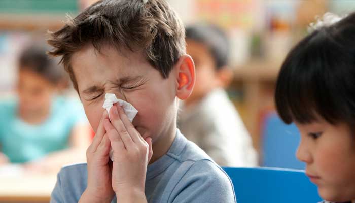 Netherlands flu outbreak affects schools and healthcare