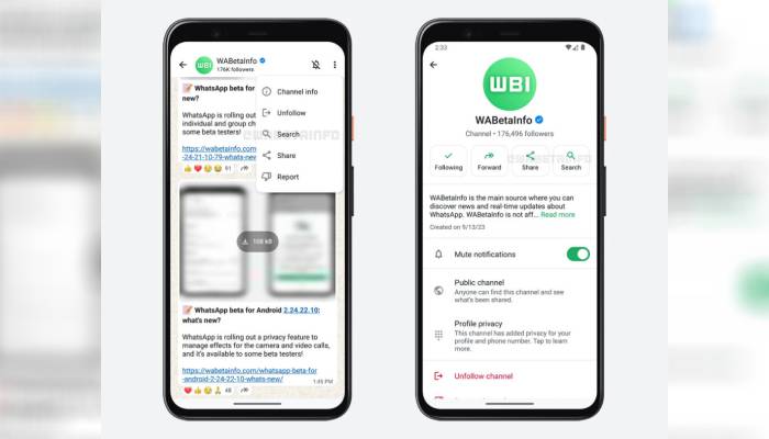 WhatsApp simplifies channel browsing with effortless search option