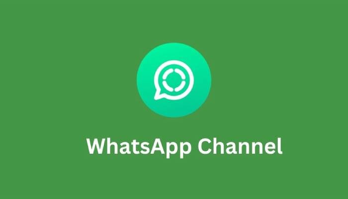 WhatsApp simplifies channel browsing with effortless search option