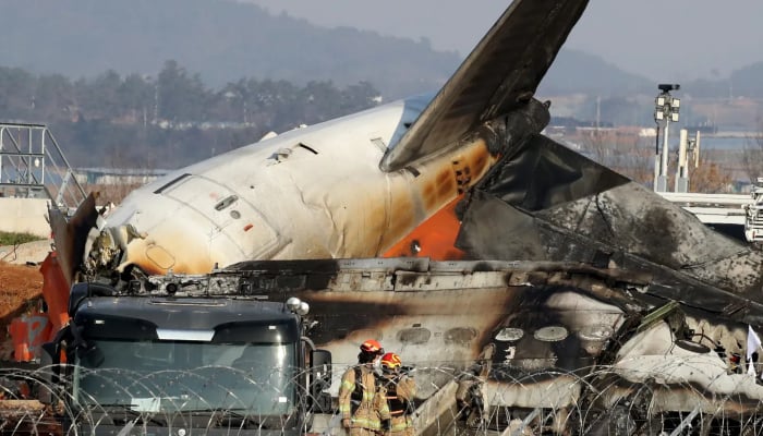 Jeju Air crash probe uncovers bird feathers, blood in planes engines