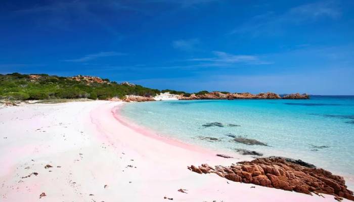 Discover HIDDEN island with pink beach where only one person lives