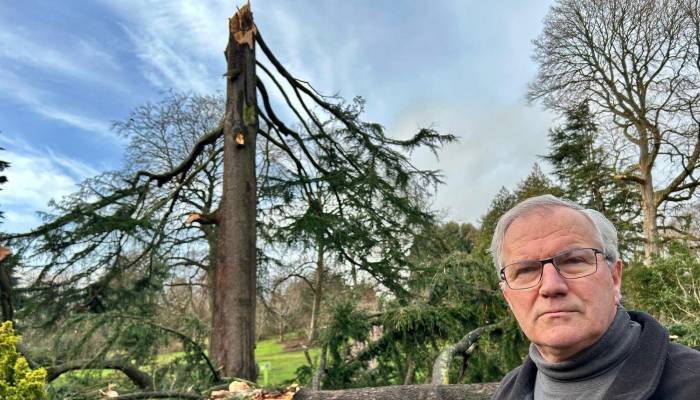 Storm Èowyn destroys historic 166-year-old tree linked to Queen Victoria