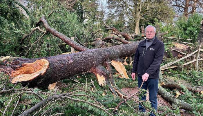 Storm Èowyn destroys historic 166-year-old tree linked to Queen Victoria