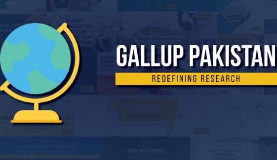 فرنیچر سمیت گھر کی تمام بڑی اشیاء مرد خریدتے ہیں
