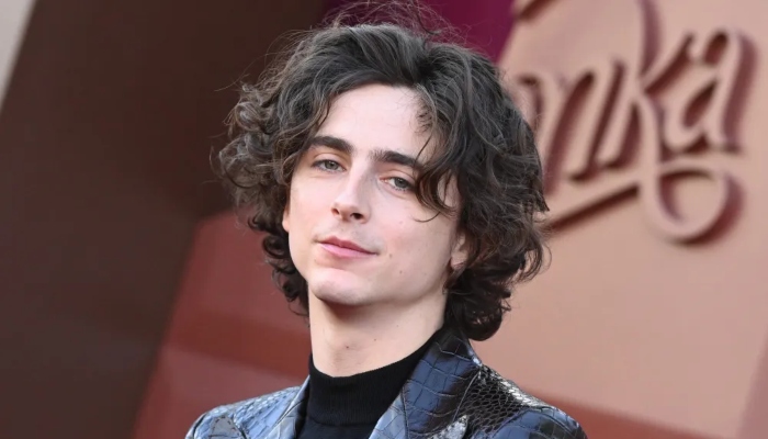 Timothée Chalamet reveals rare details about his role in A Complete Unknown