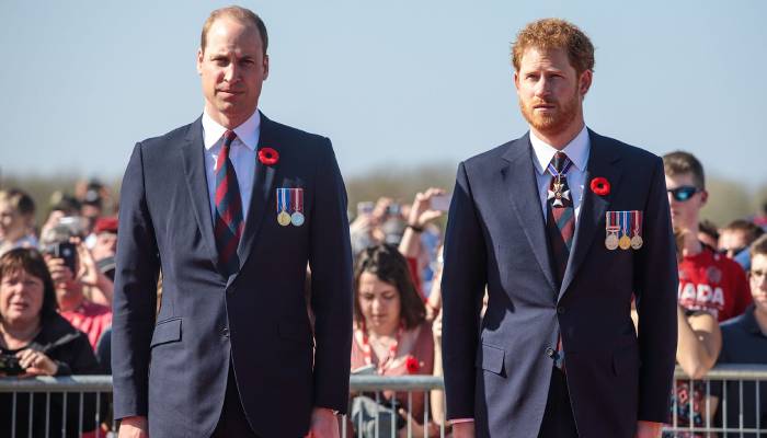 Prince William focuses on Earthshot Prize after Harry’s Invictus Games move