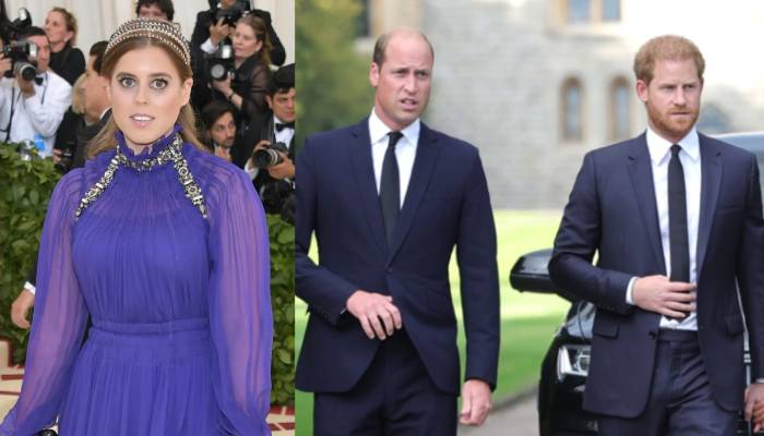 Princess Beatrice prefers Prince Harry’s parenting style over Williams