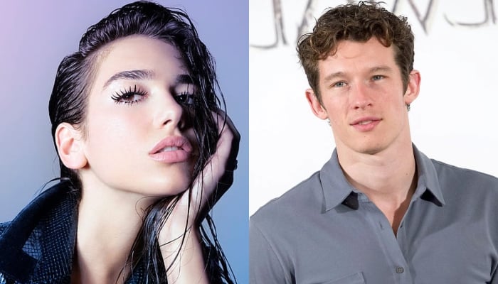 Dua Lipas boyfriend Callum Turner make sweet confession for singer