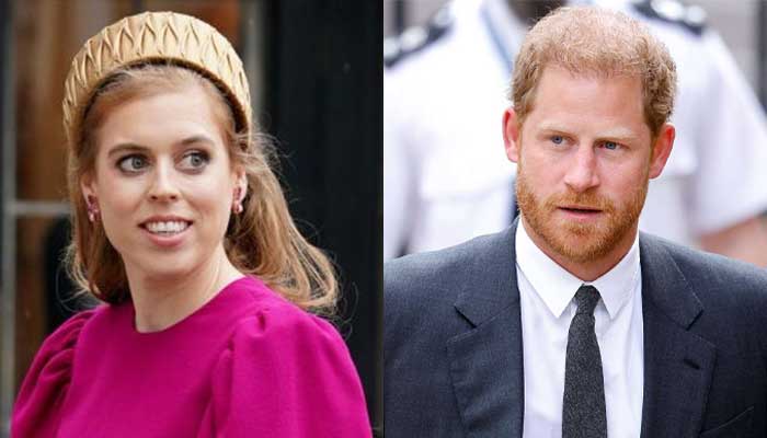 Princess Beatrice gives nod to Prince Harry in surprising move