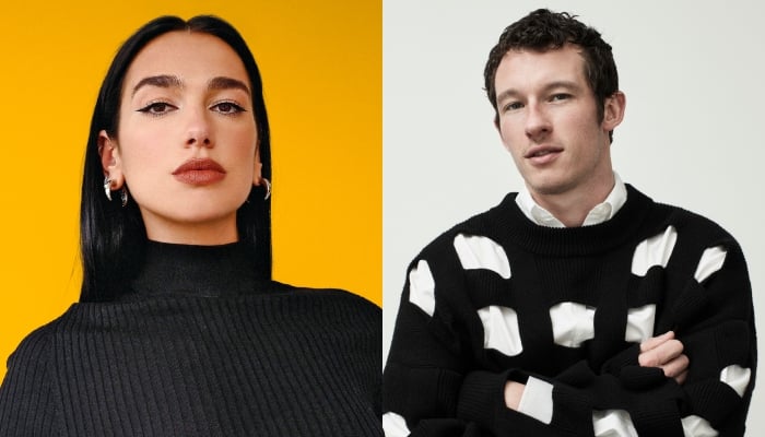 Dua Lipa drops intimate photos with Callum Turner after PDA packed date night