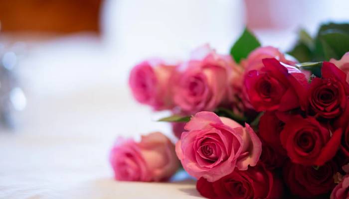 THESE 4 Valentine’s Day flowers could be dangerous to your loved ones