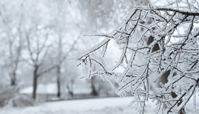 US 22 states from Midwest to Northeast on ice storm high alert