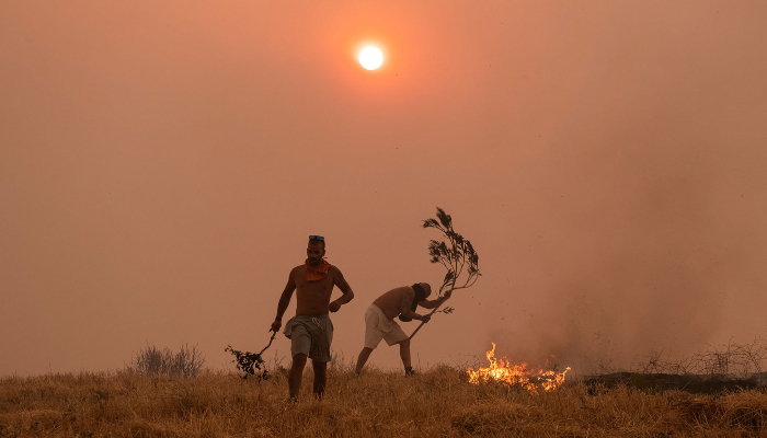 January heat record raises fears: Scientists warn of dangerous climate breakdown’