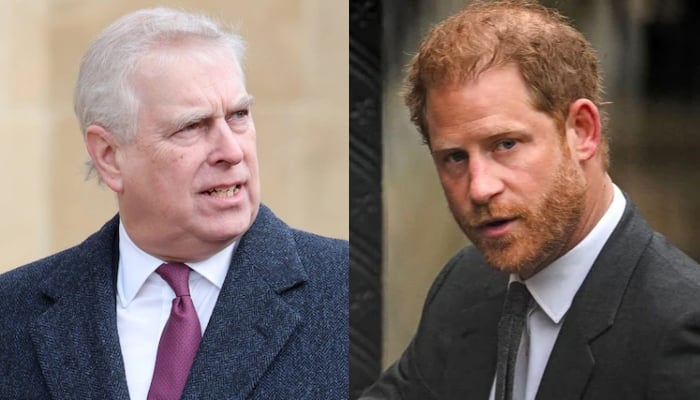 Prince Andrew plans to follow Harrys strategy to regain royal lodges