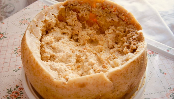 Casu marzu is traditional sheep milk cheese with live insect larvae, maggots