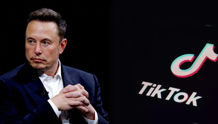 Elon Musk breaks silence on buying TikTok