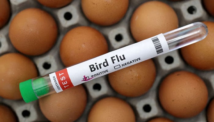 Bird Flu new variant infects dairy worker in Nevada