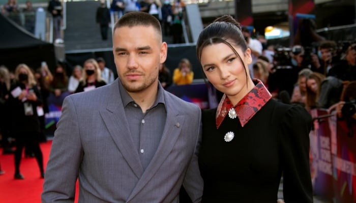 Liam Paynes ex-fiancée Maya Henry makes shocking claims about late singer