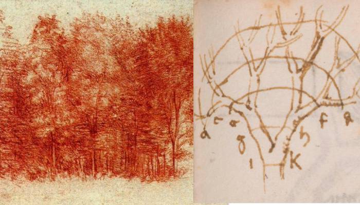 Da Vinci’s tree paintings hold shocking secret about nature’s growth