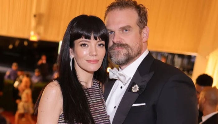 David Harbour jumps on dating bandwagon amid Lily Allen split rumors