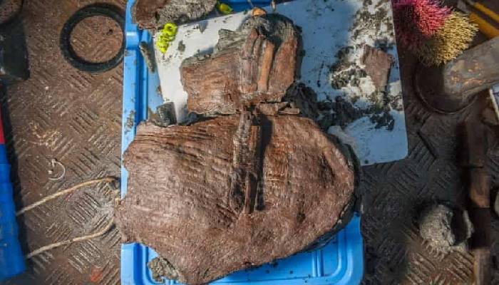 2,200-year-old fruit baskets discovered in sunken Egyptian city