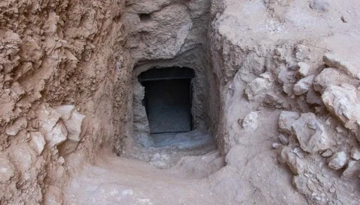 First Pharaohs tomb since Tutankhamuns unearthed in Egypt in a remarkable’ discovery