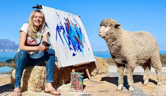 دنیا کی واحد مصور بھیڑ اغواء، ڈھونڈنے پر 50 ہزار پاؤنڈ کا انعام